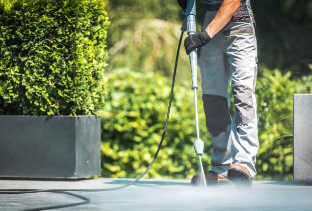Best Building Exterior Washing  in Parkville, MO