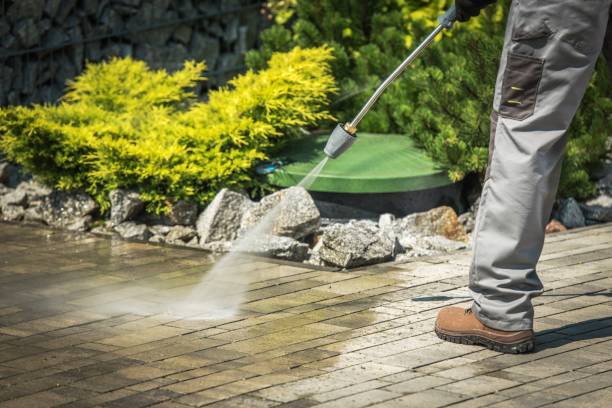 Best Dumpster Area Cleaning  in Parkville, MO
