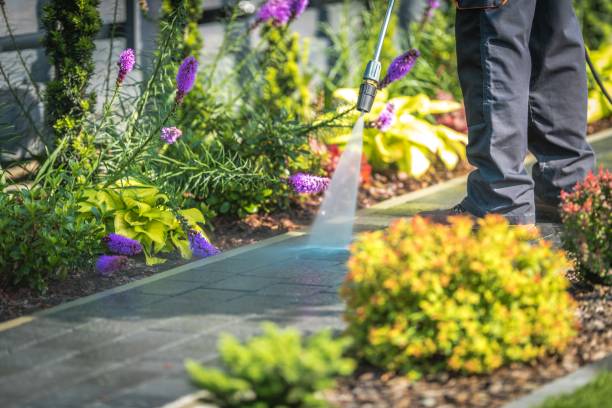Best Restaurant Pressure Washing  in Parkville, MO