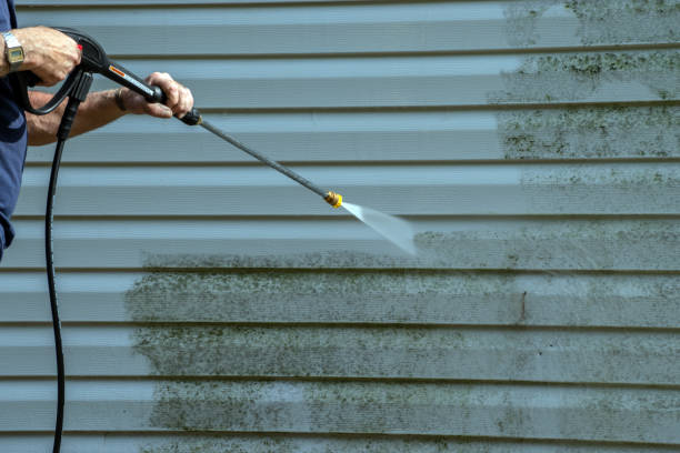 Best Driveway Pressure Washing  in Parkville, MO