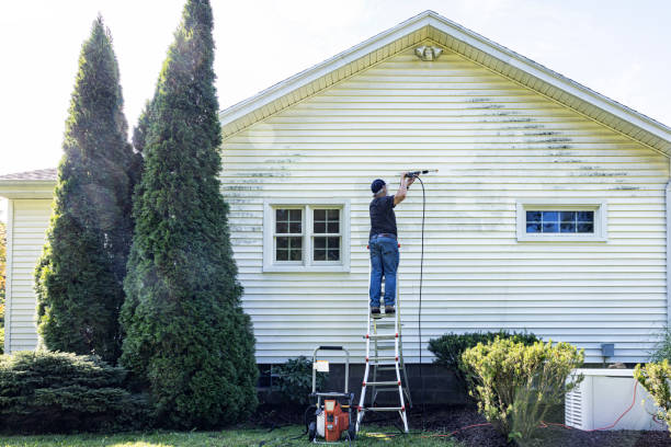 Best Residential House Exterior Washing  in Parkville, MO
